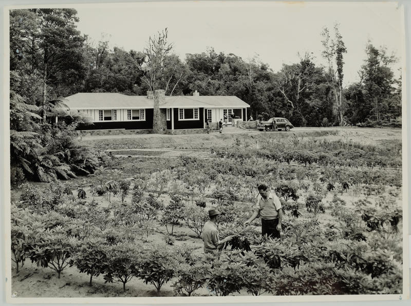 The Lodge and Nursery, Pukeiti