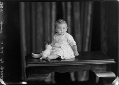 Marie Goddard - Puke Ariki