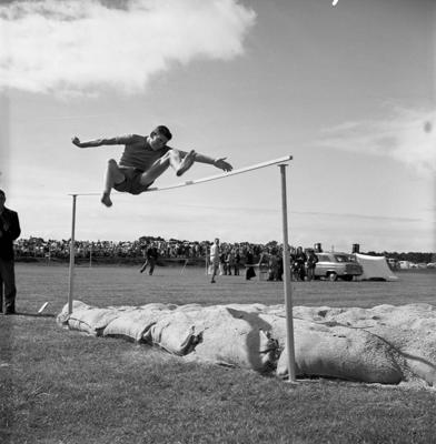 Francis Douglas Memorial College, Boy - Puke Ariki