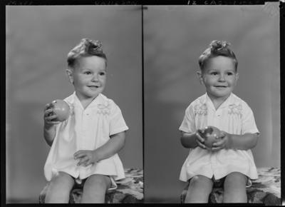 John Davidson - Puke Ariki