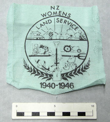 Badge, Patch; PA2010.181